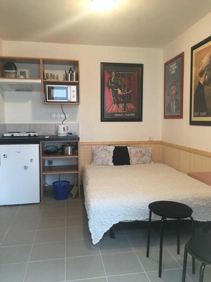 Male Utulne Studio S Koupelnou A Kuchynkou Svinarov Eksteriør bilde