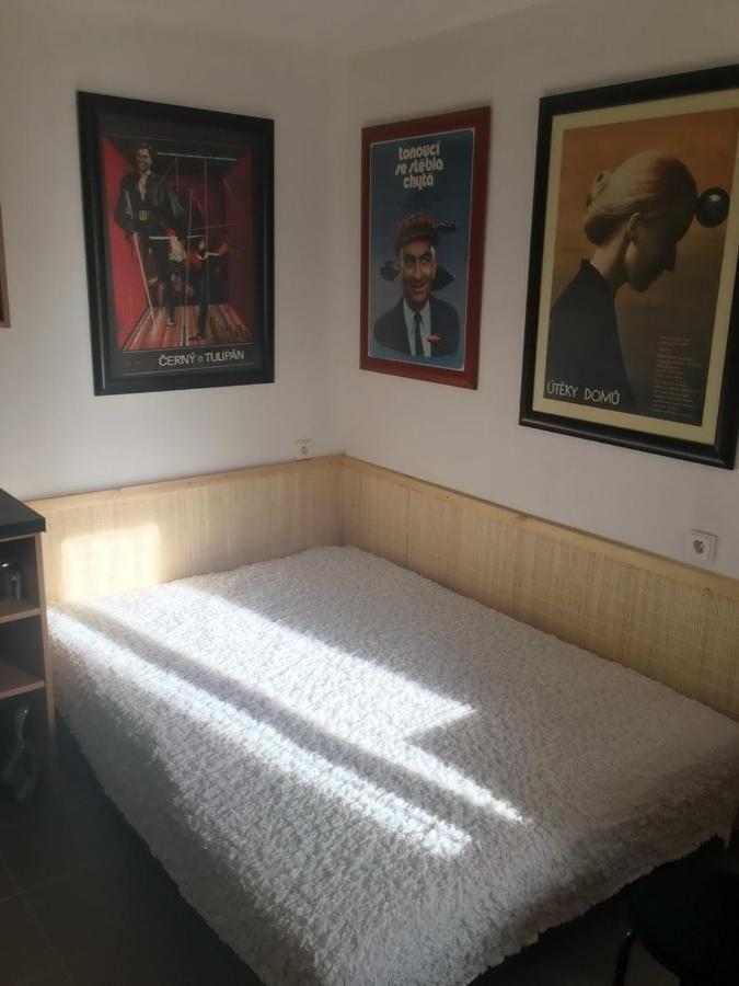 Male Utulne Studio S Koupelnou A Kuchynkou Svinarov Eksteriør bilde